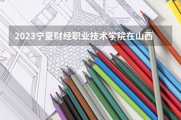 2023宁夏财经职业技术学院在山西高考专业招生计划多少人(历年招生计划)