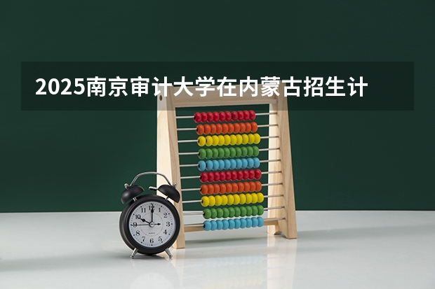 2025南京审计大学在内蒙古招生计划一览表