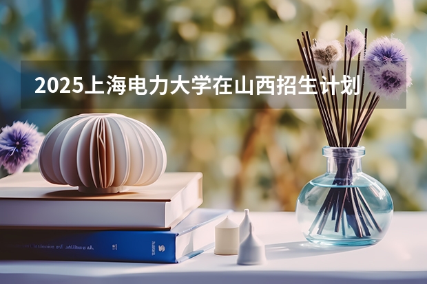 2025上海电力大学在山西招生计划一览表