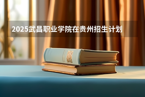 2025武昌职业学院在贵州招生计划一览表