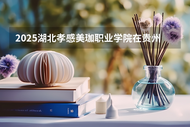 2025湖北孝感美珈职业学院在贵州招生计划一览表
