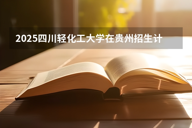 2025四川轻化工大学在贵州招生计划一览表