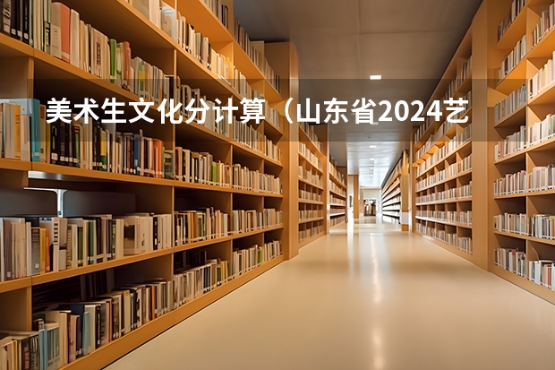 美术生文化分计算（山东省2024艺考政策）