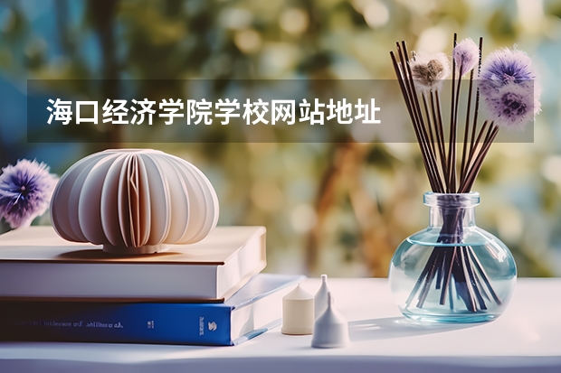 海口经济学院学校网站地址