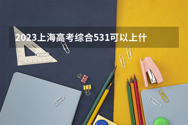 2023上海高考综合531可以上什么大学