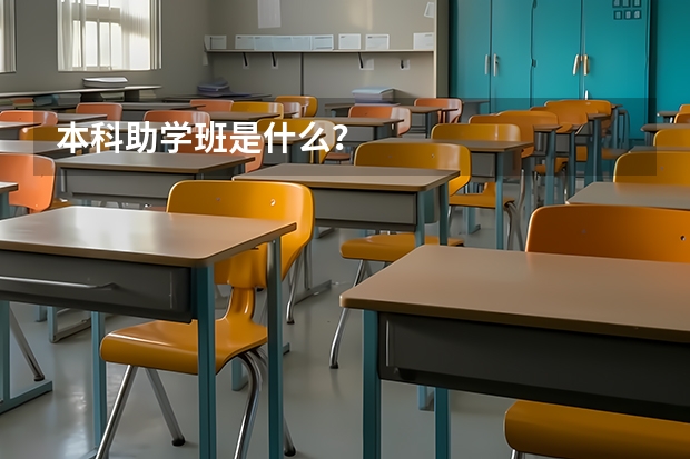 本科助学班是什么？