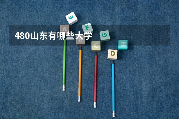 480山东有哪些大学