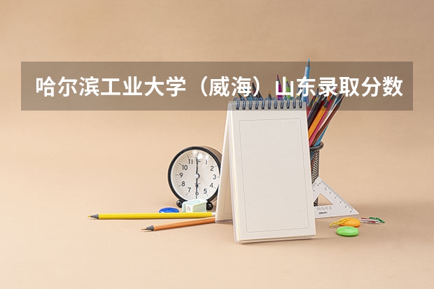 哈尔滨工业大学（威海）山东录取分数线是多少（招生人数）