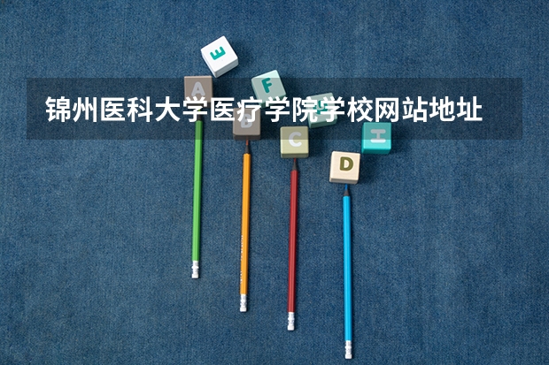 锦州医科大学医疗学院学校网站地址