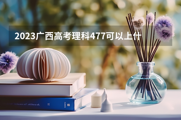 2023广西高考理科477可以上什么大学