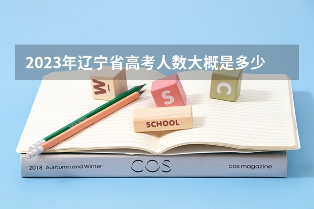 2023年辽宁省高考人数大概是多少