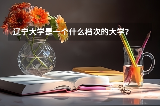 辽宁大学是一个什么档次的大学?