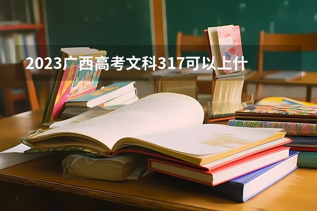 2023广西高考文科317可以上什么大学