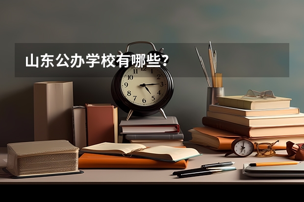 山东公办学校有哪些？