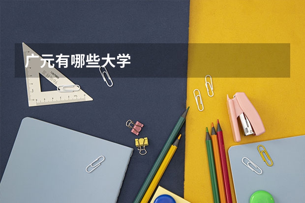 广元有哪些大学