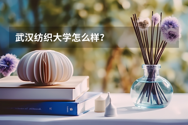 武汉纺织大学怎么样？