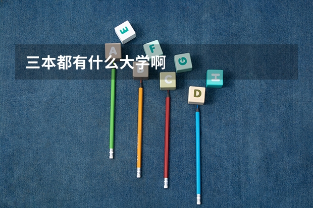 三本都有什么大学啊