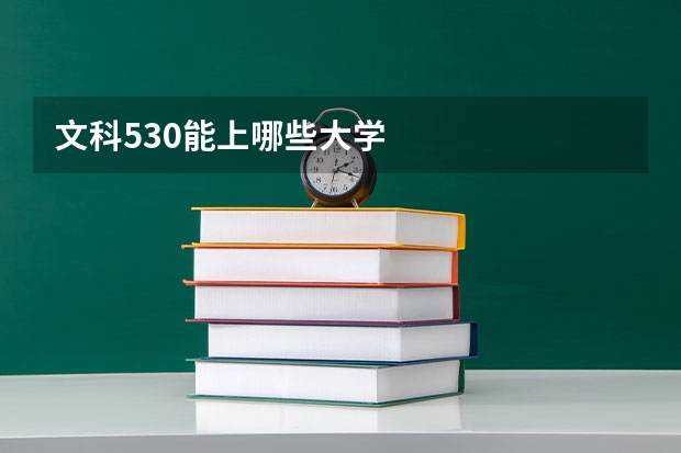 文科530能上哪些大学