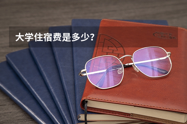 大学住宿费是多少？
