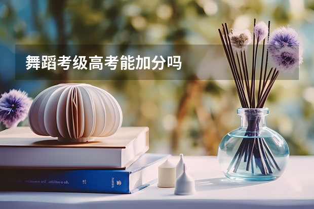 舞蹈考级高考能加分吗