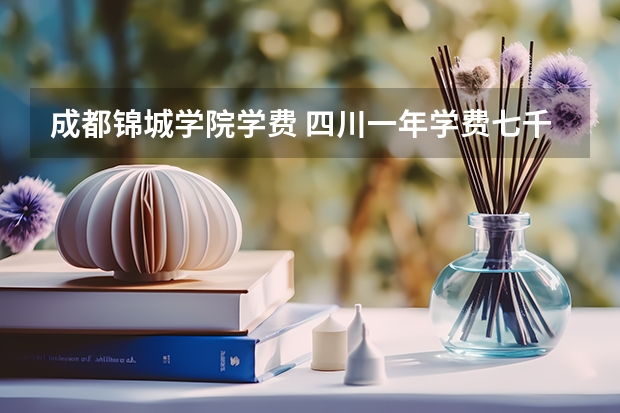 成都锦城学院学费 四川一年学费七千多的大学