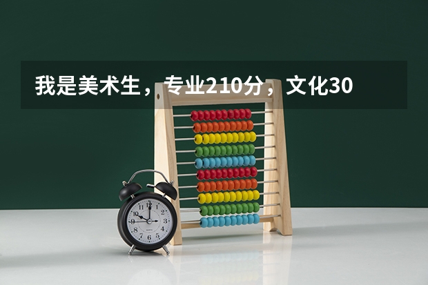我是美术生，专业210分，文化300左右，能上的本科吗？