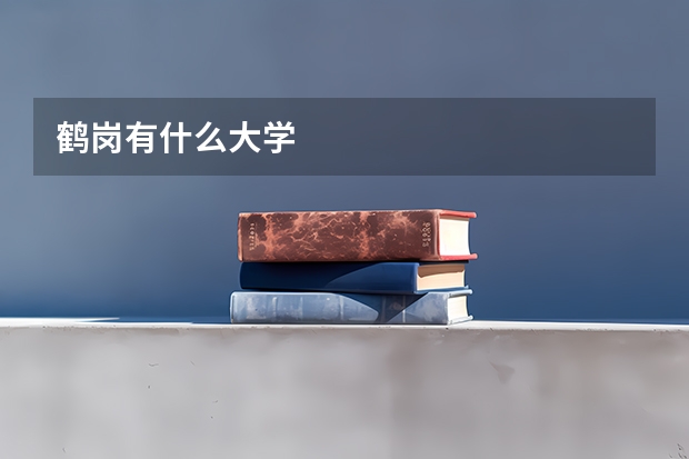 鹤岗有什么大学