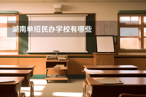 湖南单招民办学校有哪些