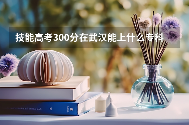 技能高考300分在武汉能上什么专科学校